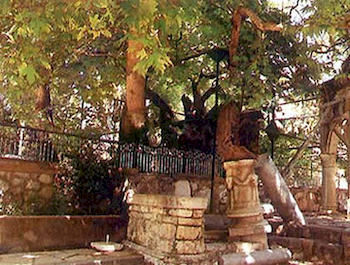 Hotel apartamentowy Golden Sun 2*